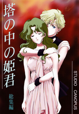 Bishoujo Senshi Sailor Moon: Tou no Naka no Himegimi (doujinshi)